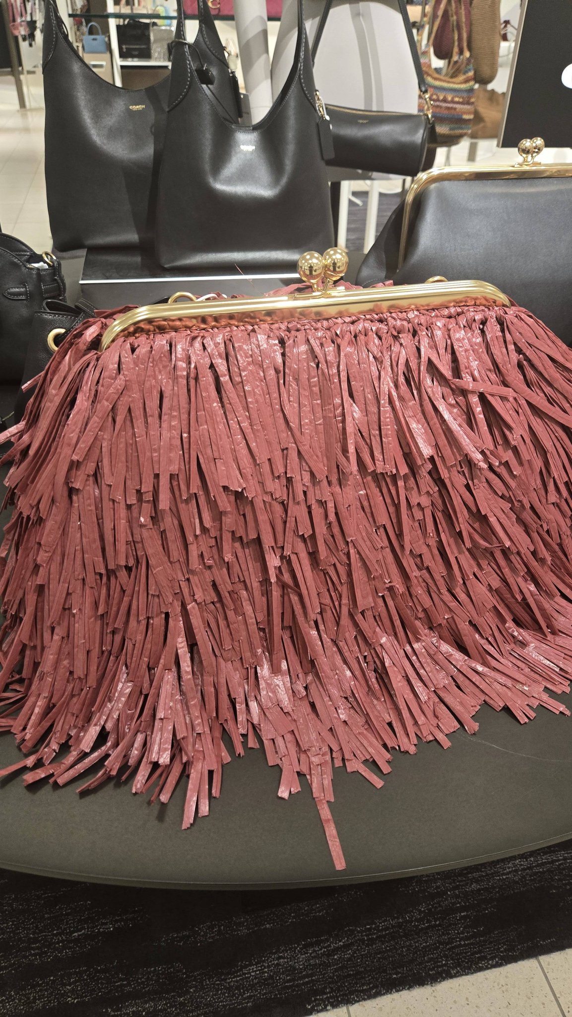 Ok, kisslock fringe bag I love it so much 🤩