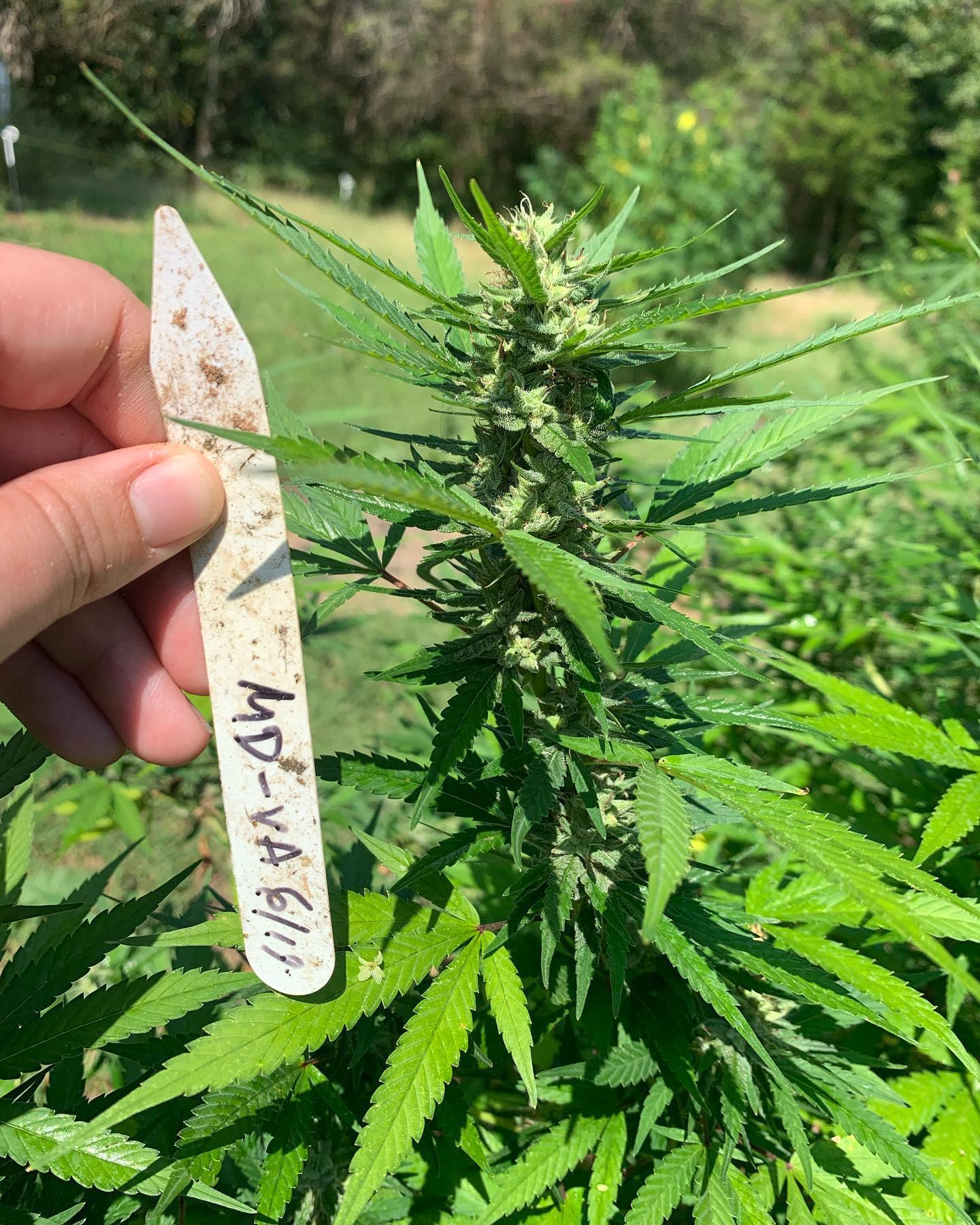 Smokey Ridge Farm