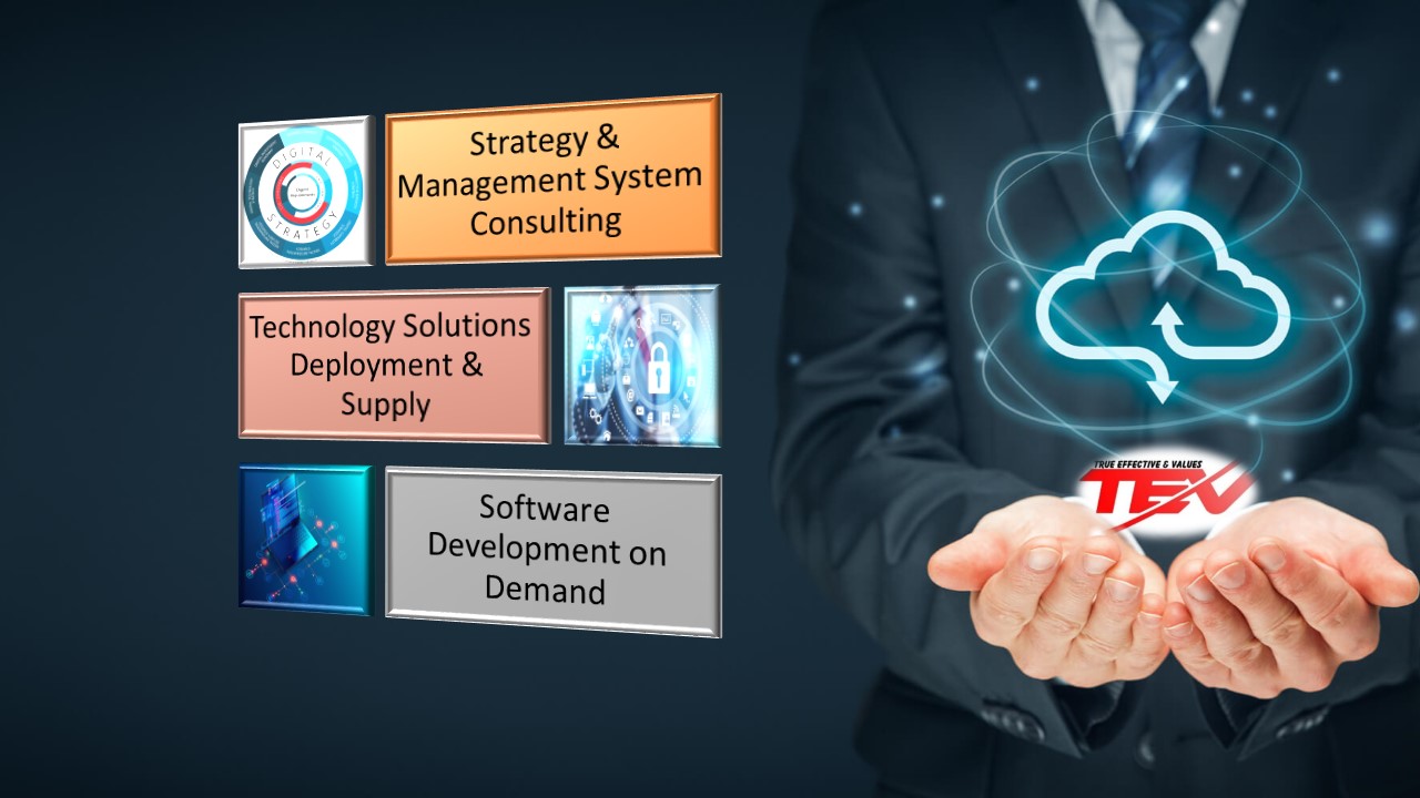 TEV Global Technology & Management Solutions Consulting | Hanoi