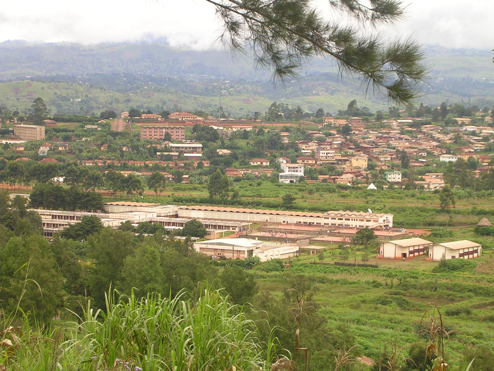 Université de dschang