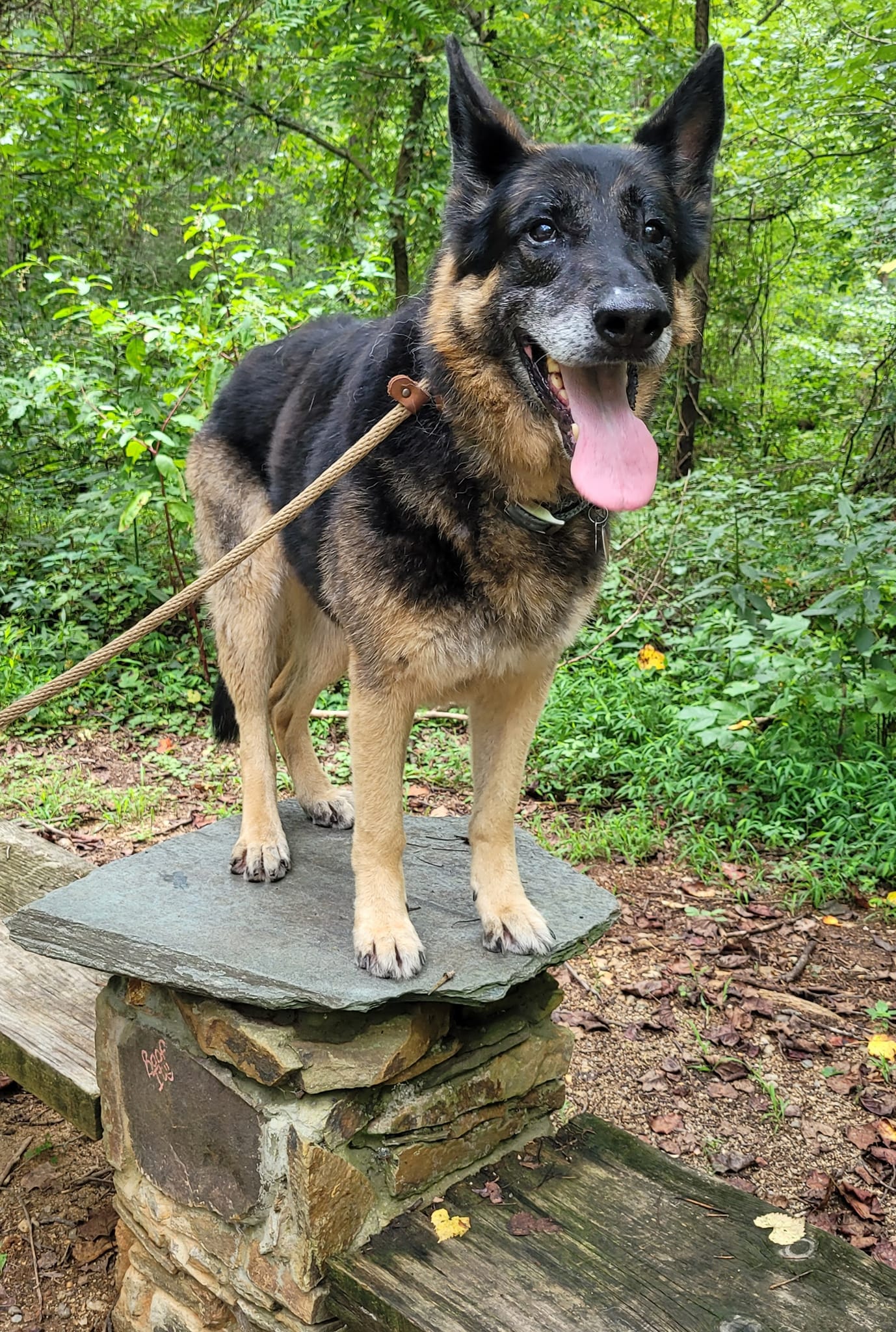 Camp Merricks - MEET REV! Rev is staying at Camp for a... | Facebook