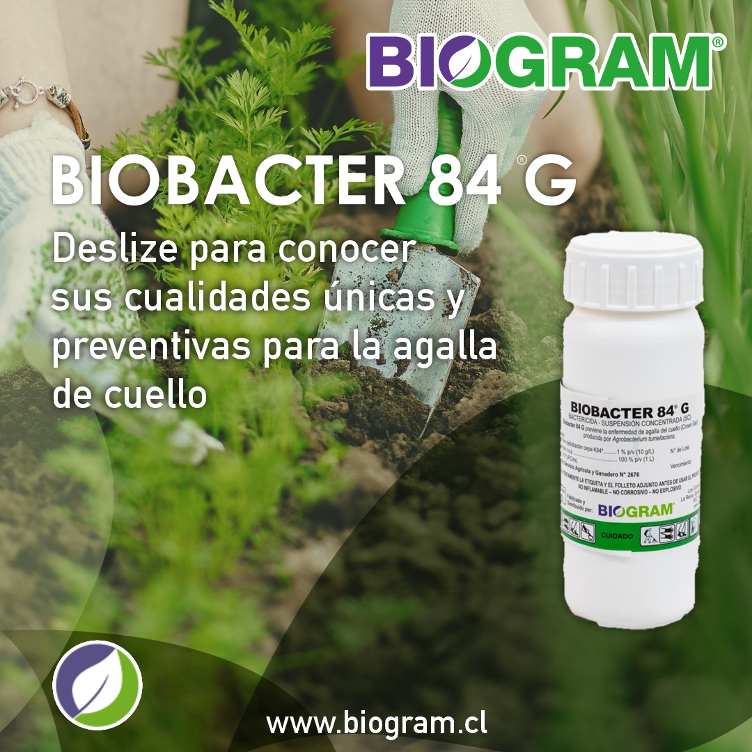 BIOGRAM S.A. - En el carrusel contamos sobre las... | Facebook