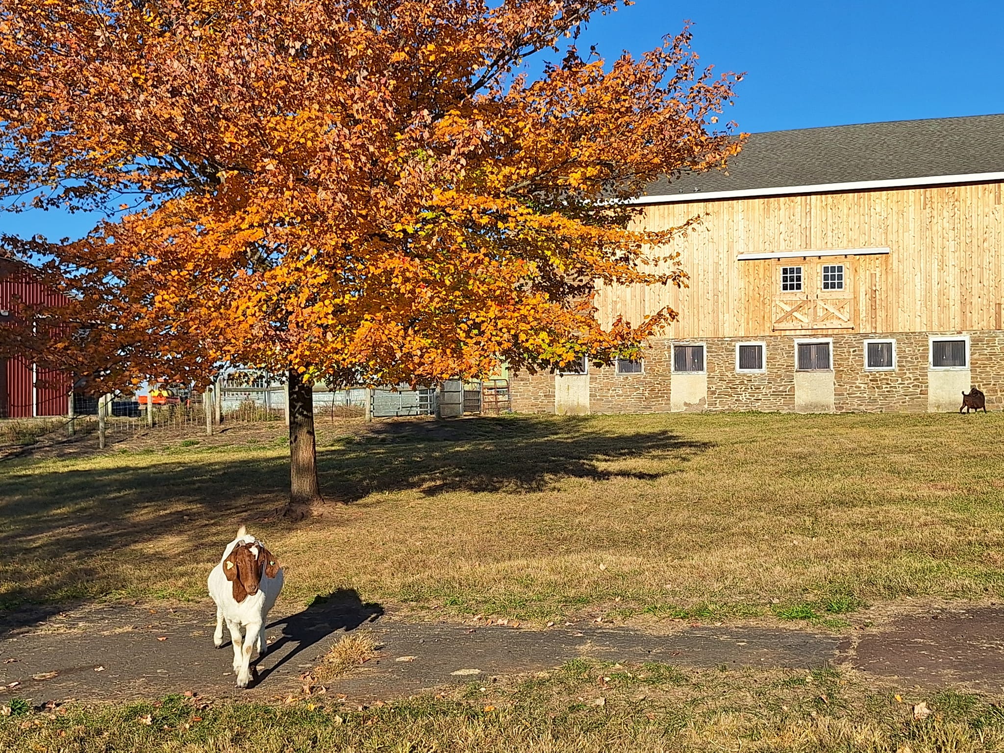 Roth Center for Sustainable Agriculture | North Wales PA