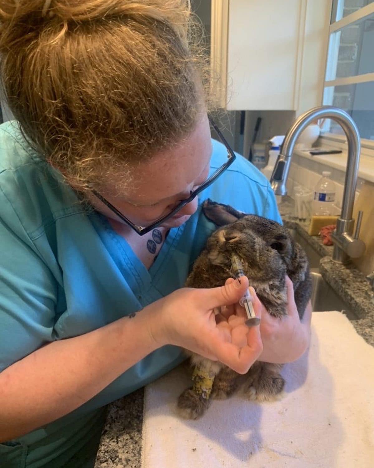A remarkable transformation of... - Alabama Rabbit Rescue
