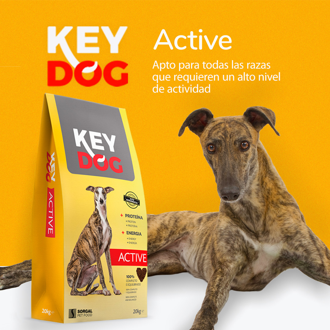 + Proteína + Energía KeyDog Active... - Sorgal Pet Food - ES | Facebook