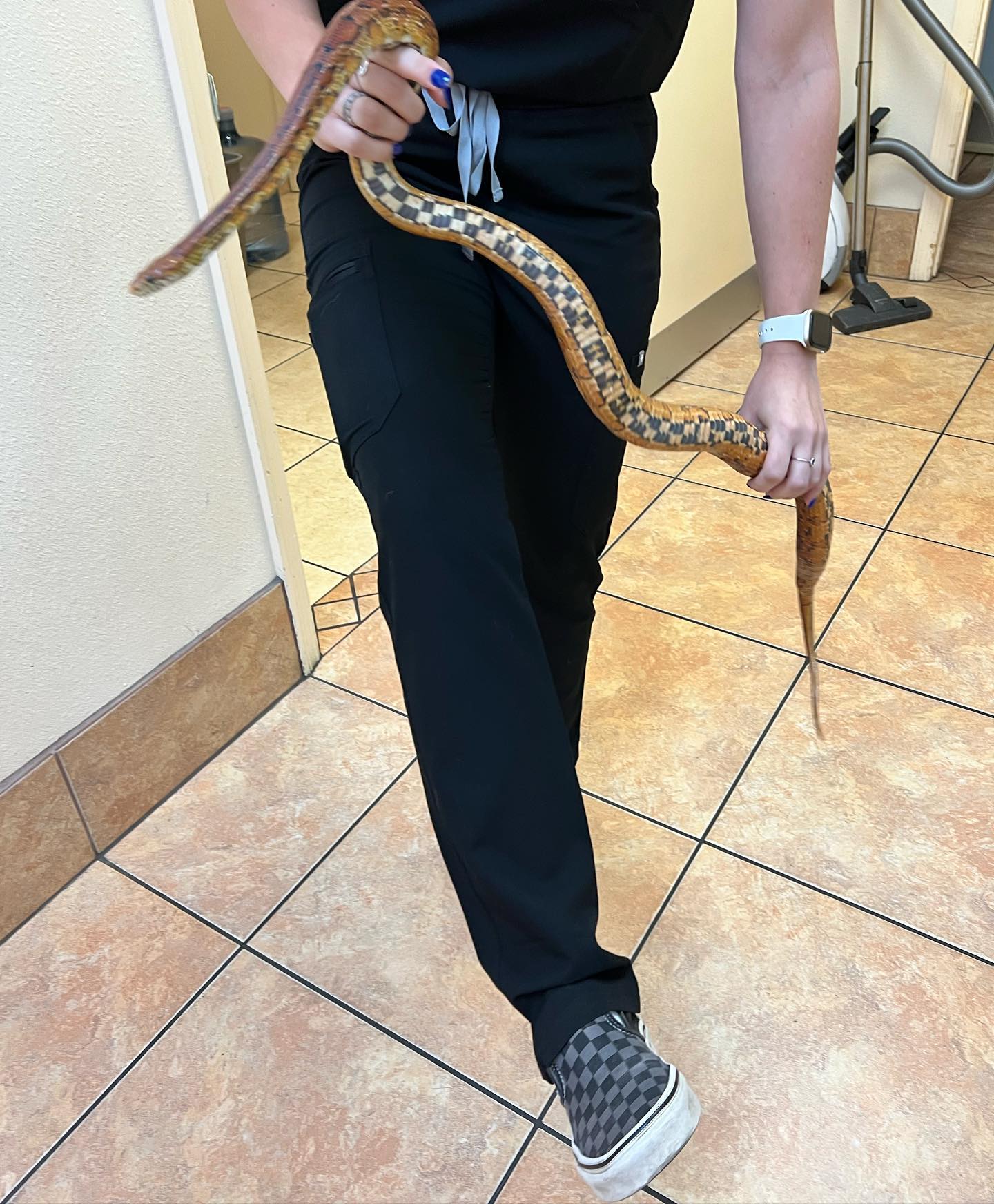 When your patient and your... - University Animal Clinic | Facebook