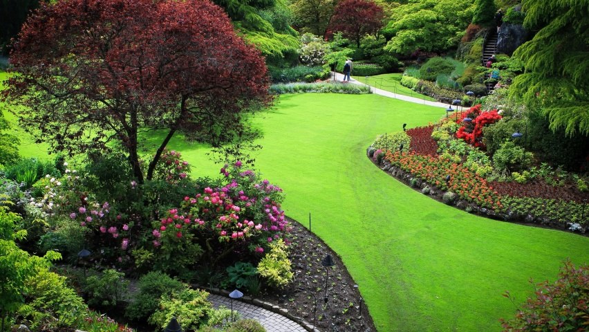 Torres Landscaping & Mowing Services; LLC