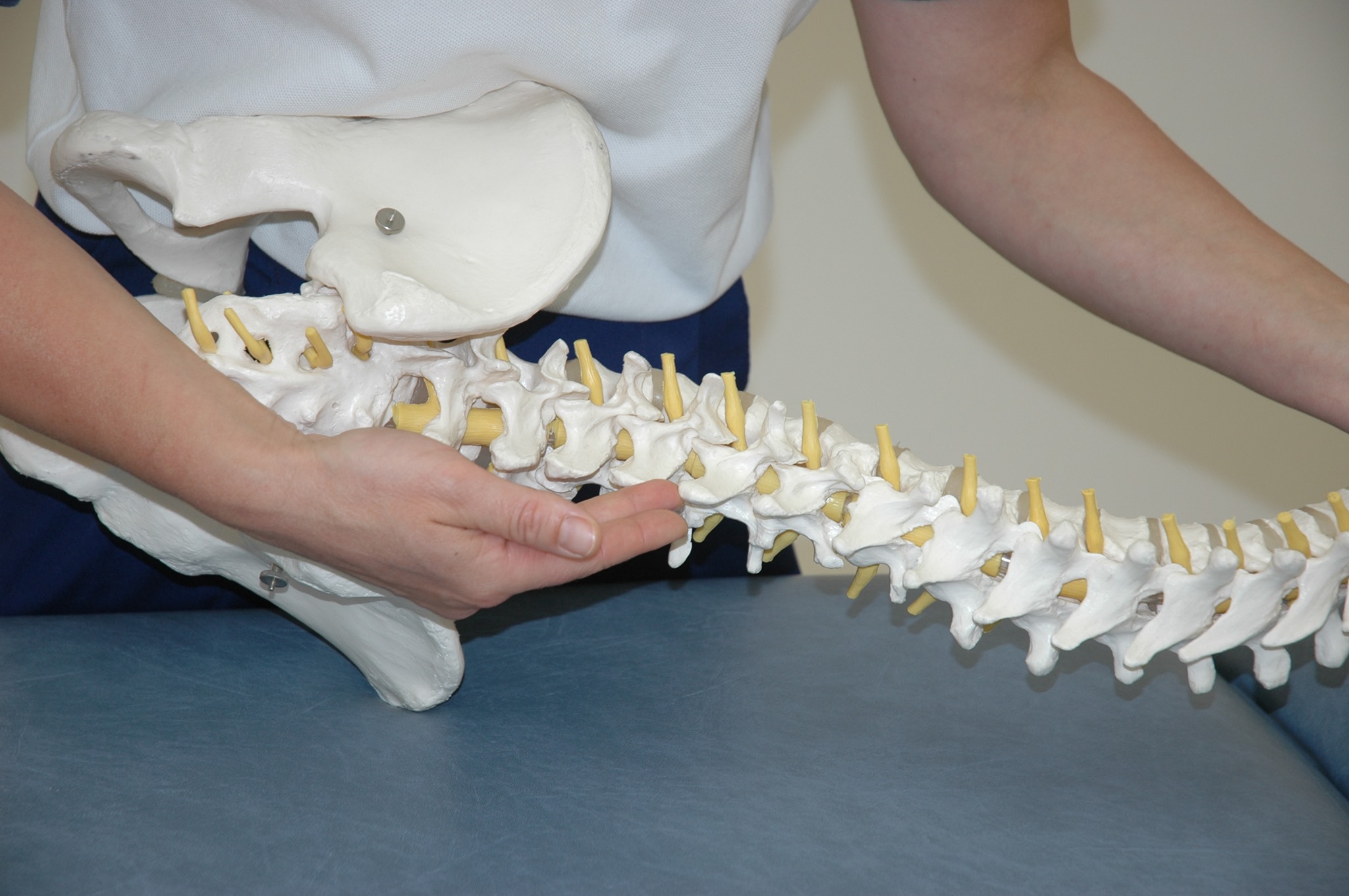 Rachel Chester Physiotherapy