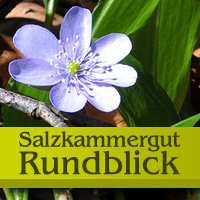 Das 1. Wikingerfest verwandelte... - Salzkammergut-Rundblick | Facebook
