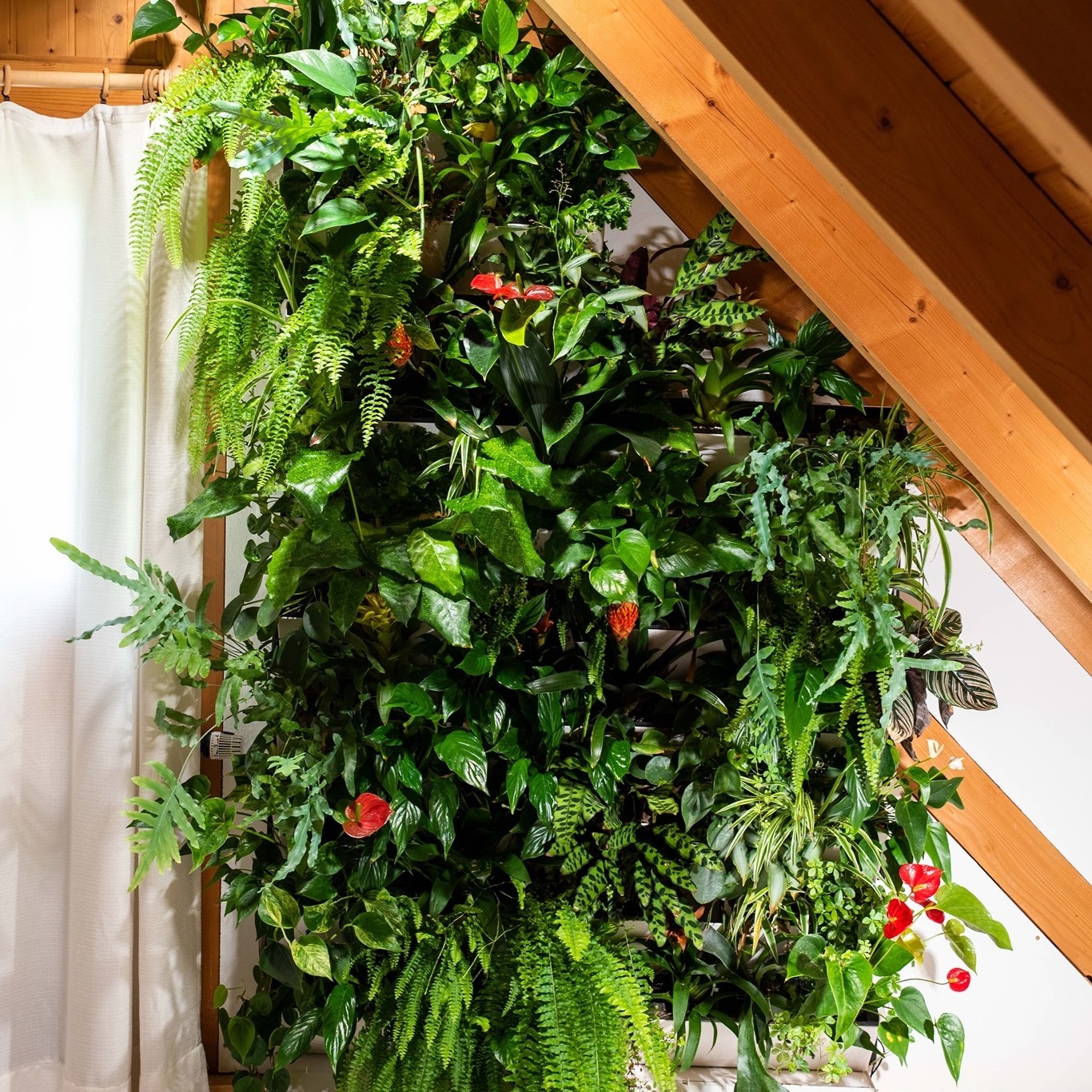 Vertigrow - Pflanzsysteme... - Vertigrow - Pflanzsysteme
