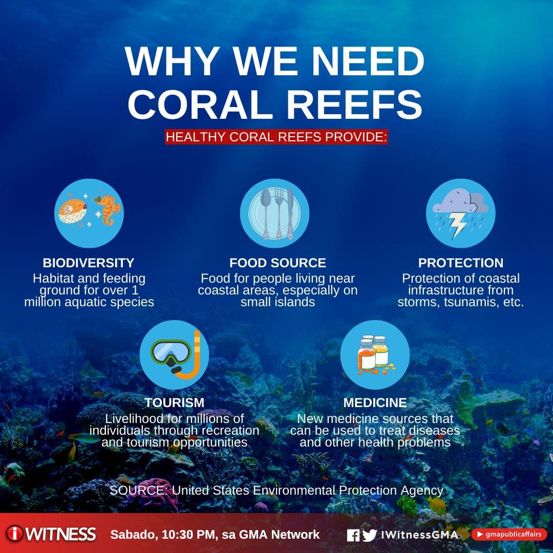 I-Witness - Bukod sa magagandang underwater photos, may mas marami pang ...
