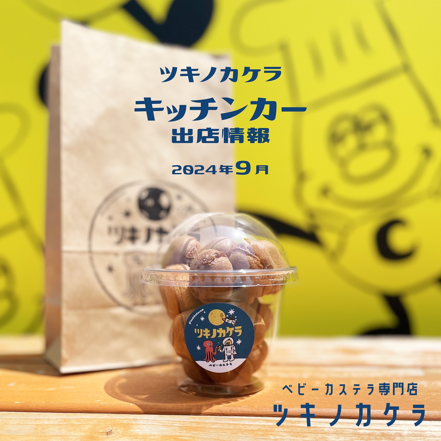 ヒカゲノカズラ　　信州産　　ご予約ページ ヒカゲノカズラ 信州産 ご予約ページ ☆ヒカゲノカズラ☆100サイズの箱