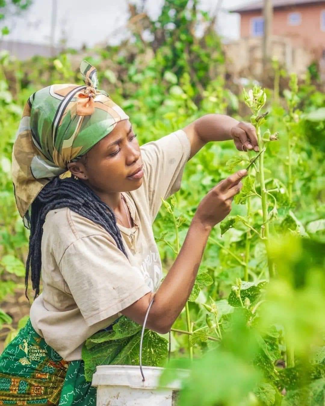 👨🏿‍💼 En 2022, selon les... - Benin Fruits & Fleurs