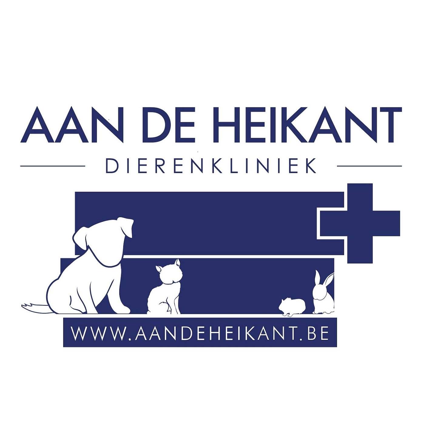🐾 Senior screening: Graag... - Aan de Heikant Dierenkliniek | Facebook
