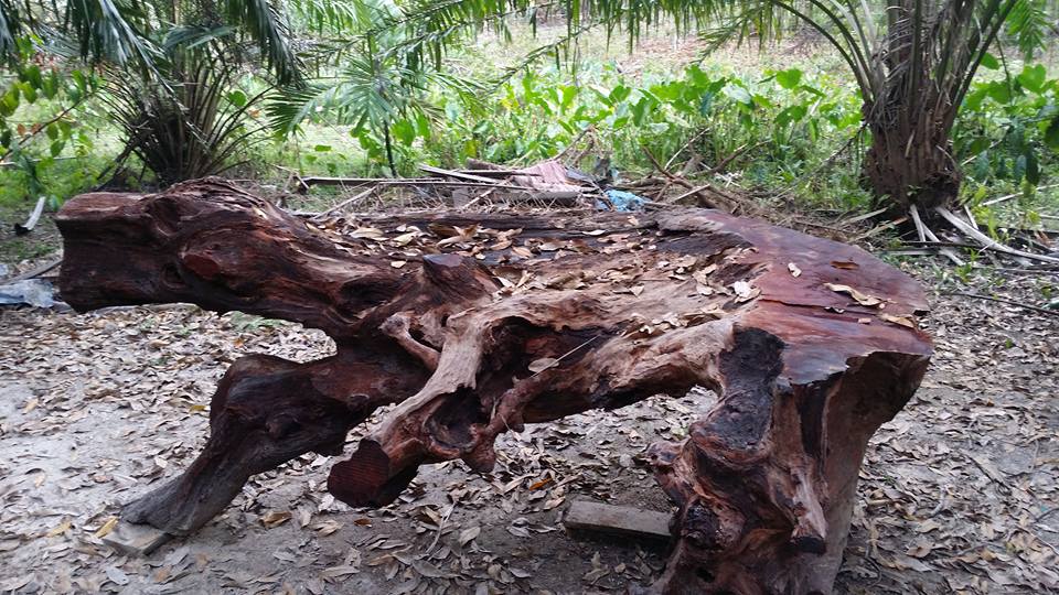 Vintage Stump Enterprise | Selepas dicanai dan polish berkilat fuhh