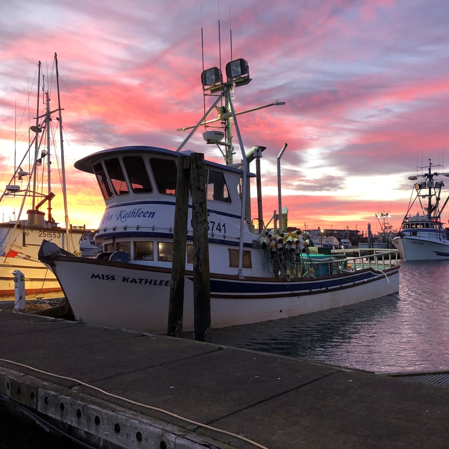 Freedom Sportfishing added a new... - Freedom Sportfishing