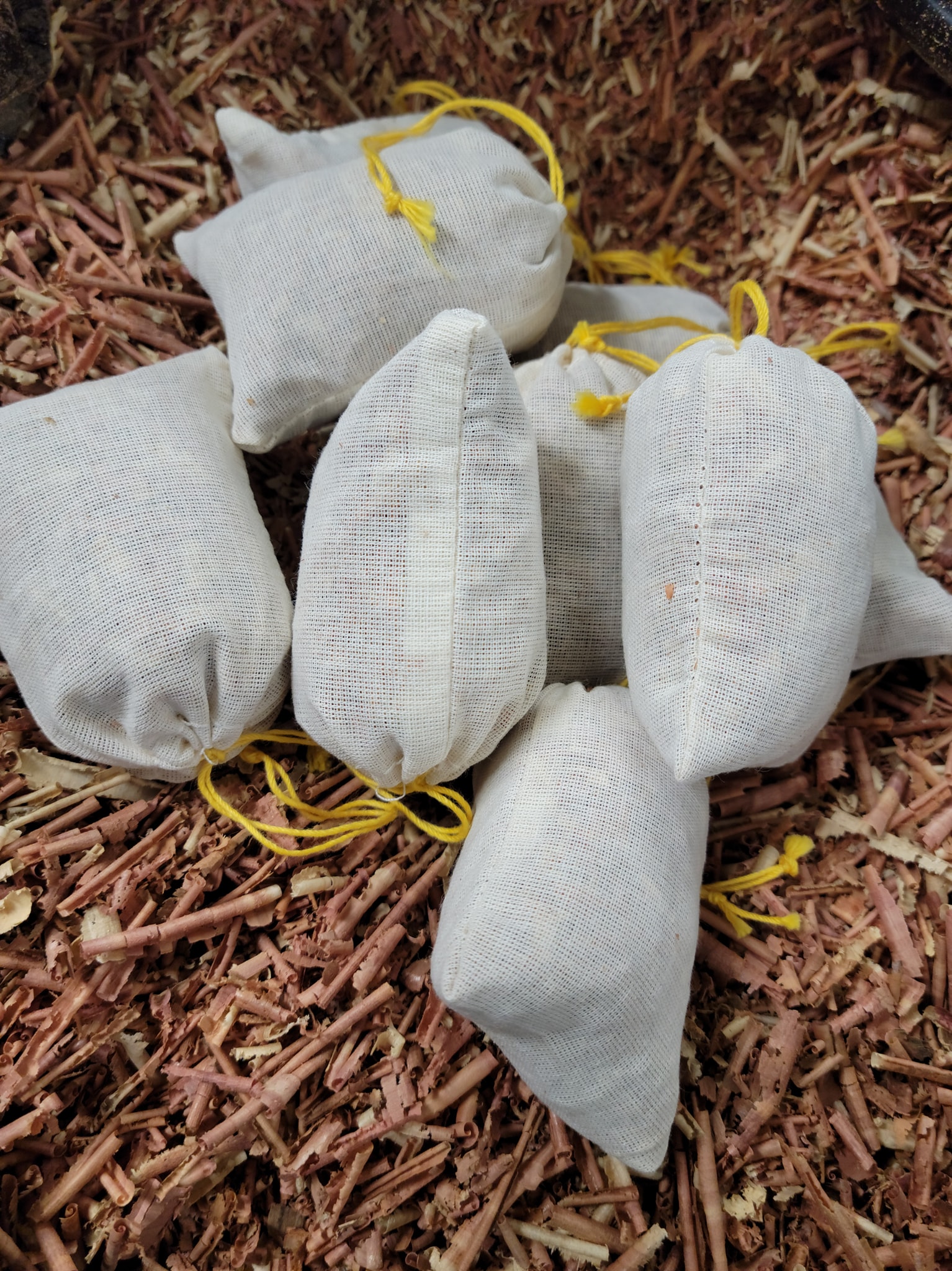 60 Cedar Wood Blocks Cubes Chemical Free Bug Repellent Moth Balls. Free Shipping