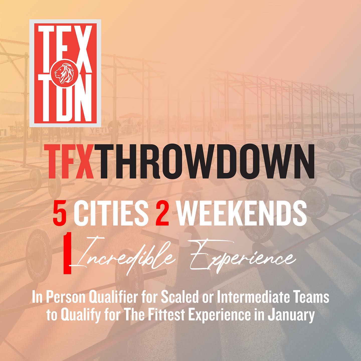 Introducing the TFX Throwdowns!!... - The Fittest Experience | Facebook