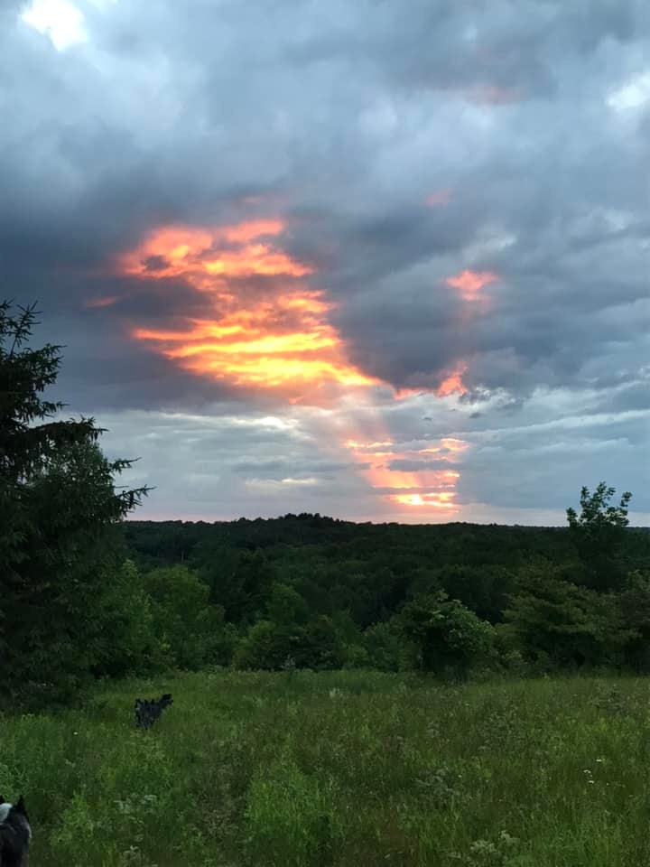 Spring Ridge Farm