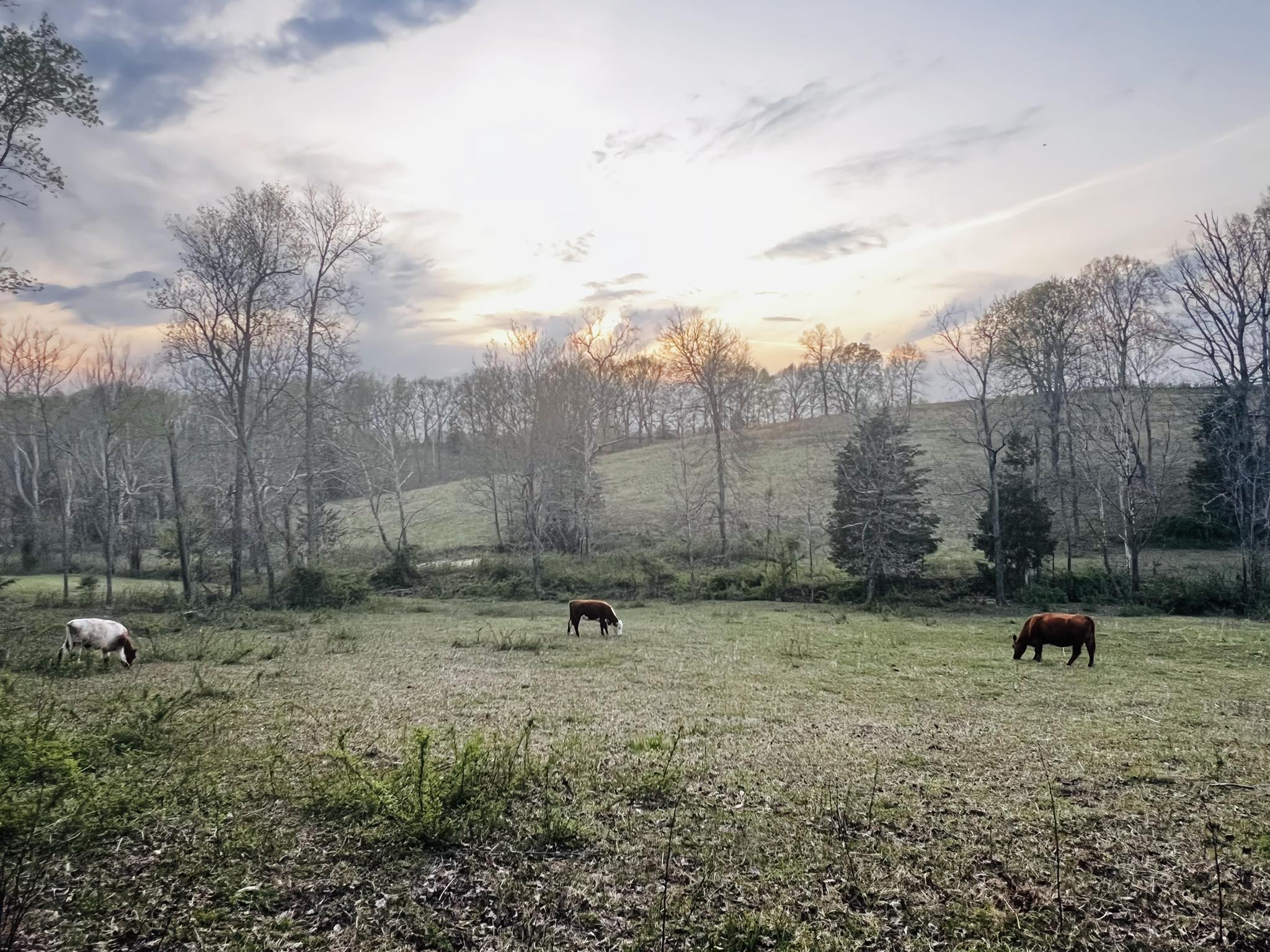 Windy Ridge Farm | Piketon OH