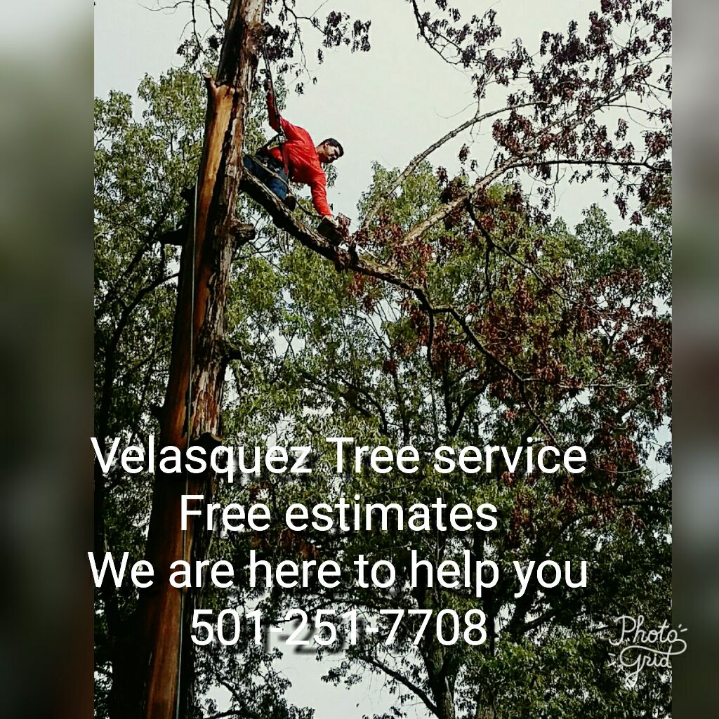 Velasquez Tree Service