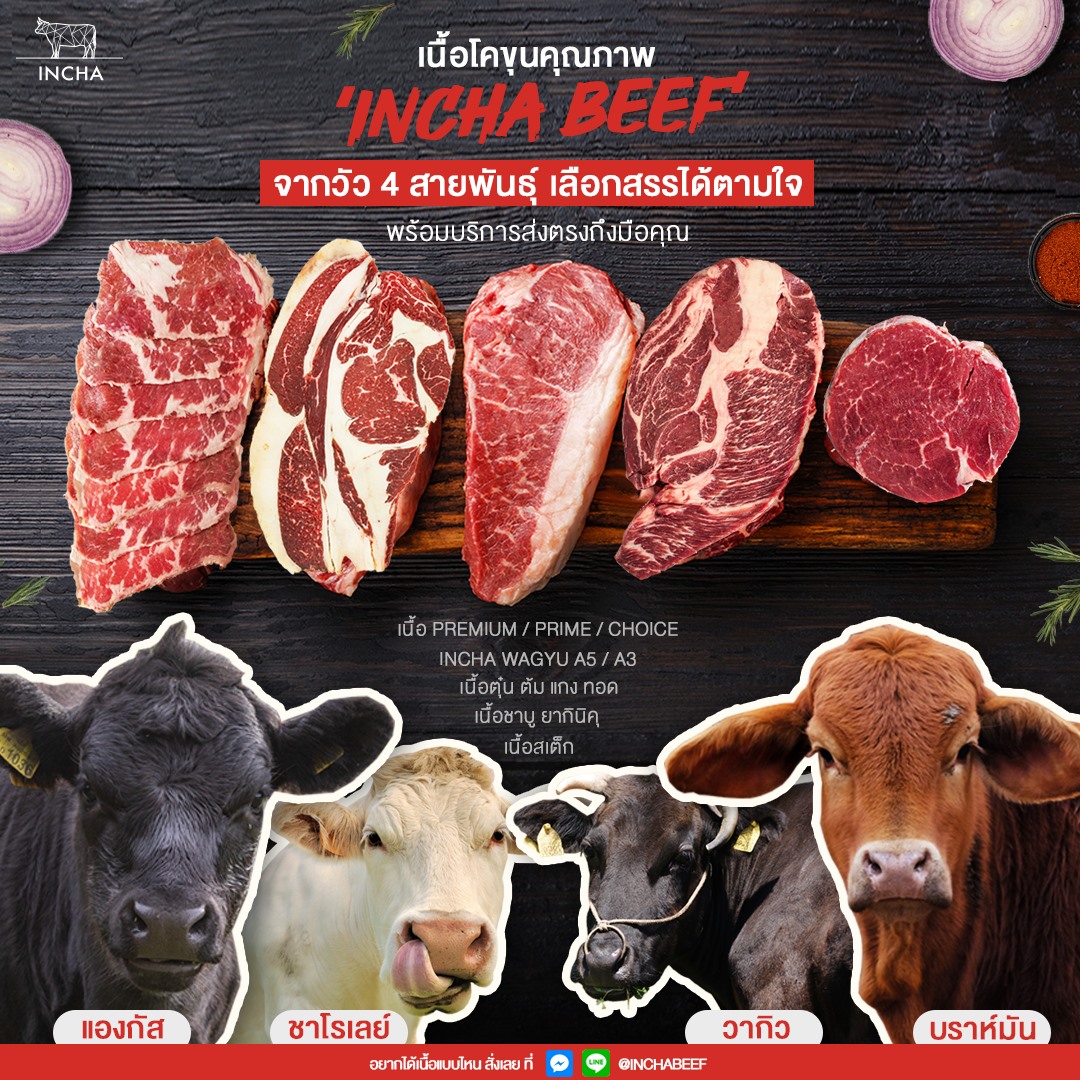 INCHA beef - Incha Beef มีเนื้อโคขุนพรีเมียม... | Facebook