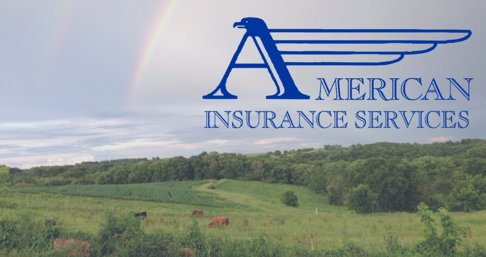 American Insurance Services, LLC