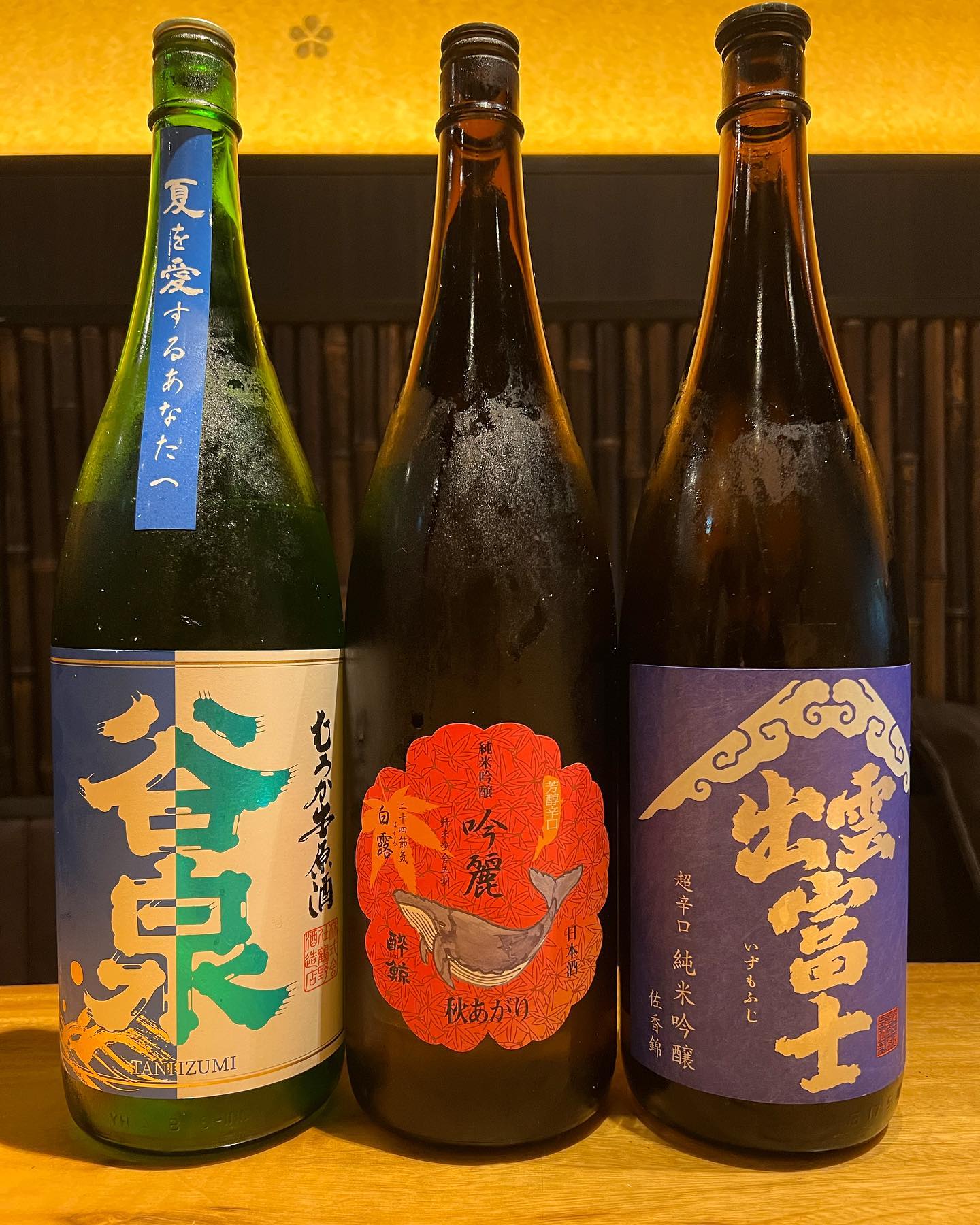活動歴および当時の関連ビジュアル記録
