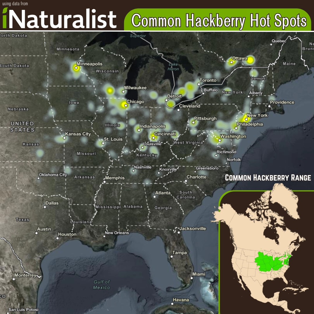 Bigfoot - In Episode 3 of Mapping Bigfoot, you may remember Merriwether ...