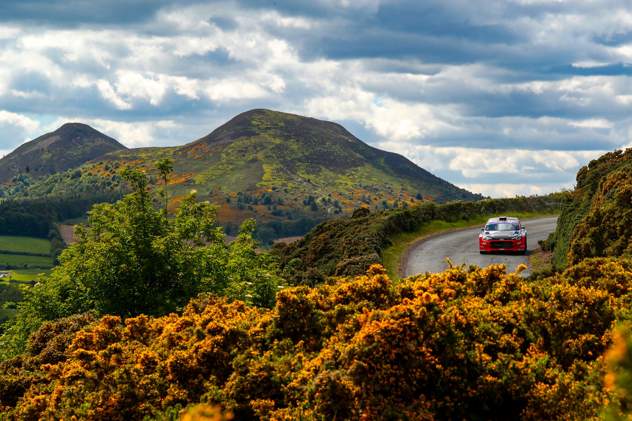 🗞️Double podium for Williams in... - James Williams Rallying | Facebook
