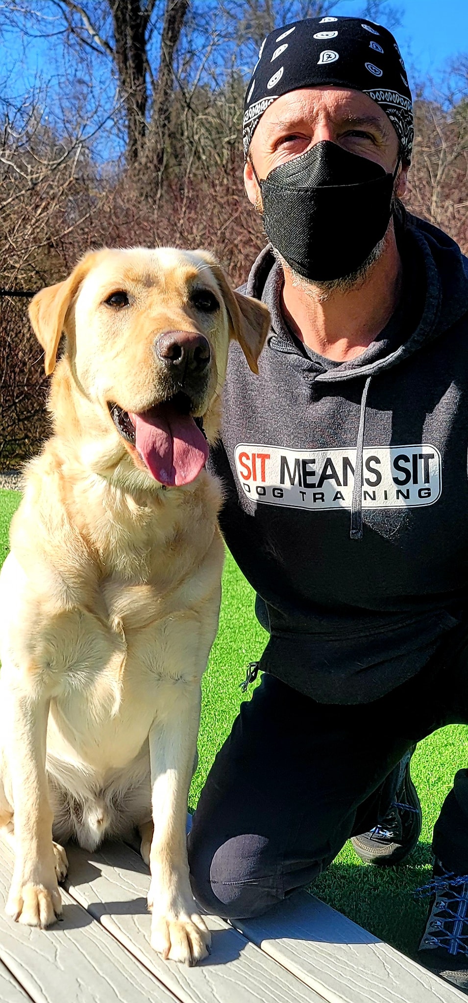 Sit - This exuberant lab is here so he can learn to walk by other dogs ...