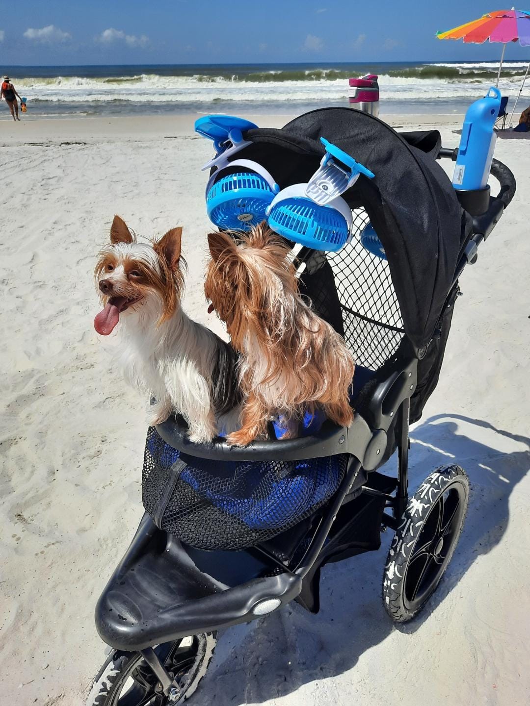 maxi cosi order status Oxford Modular Stroller Kingfish procyon al spinning reel in soother with lullabies Style Number:NF0A3KX7