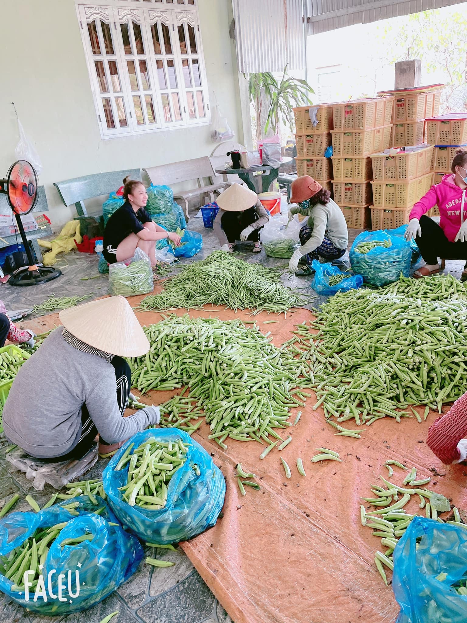 Vựa Rau Long Khánh Xuân Lộc Đồng Nai