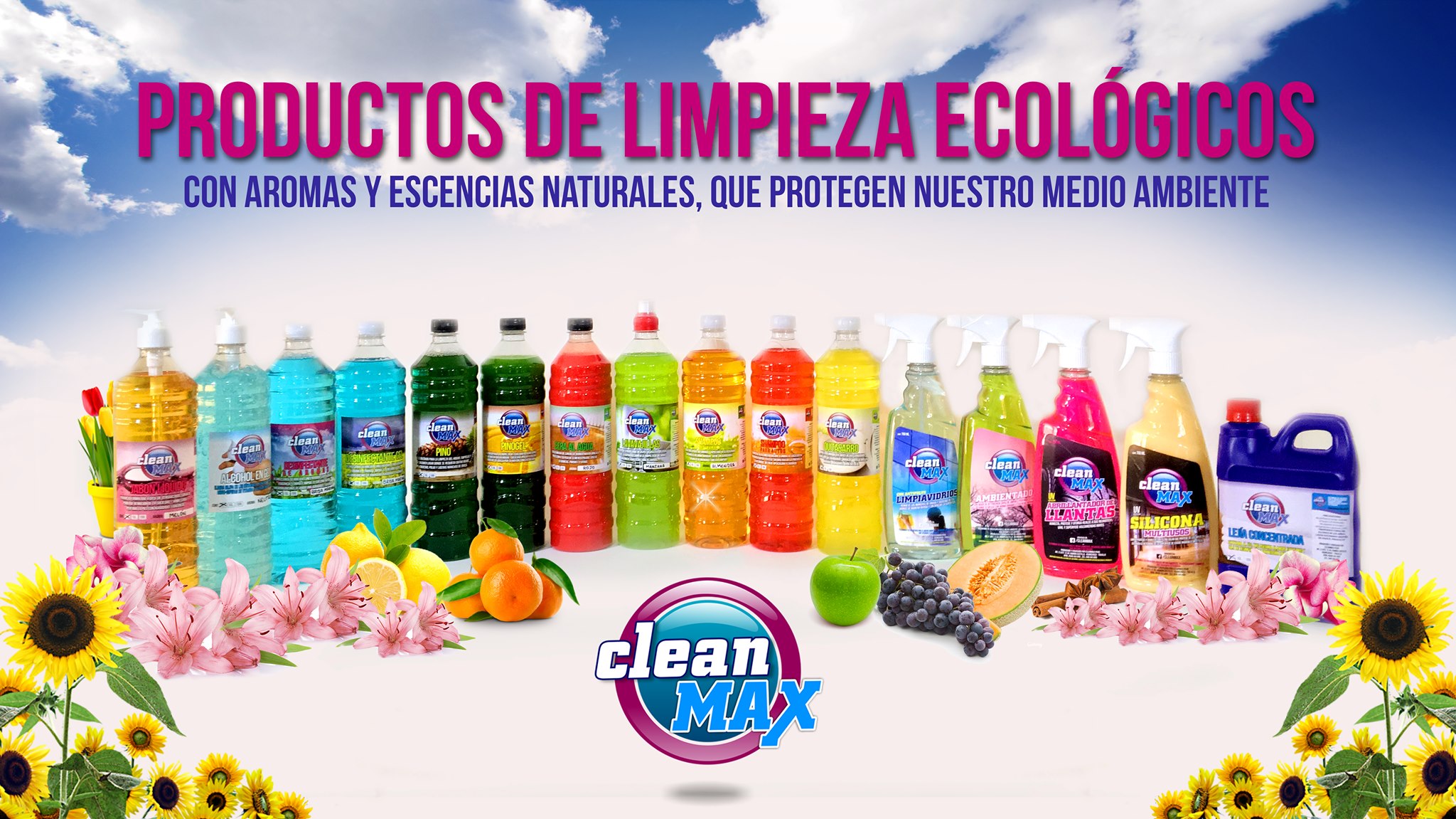 CleanMax