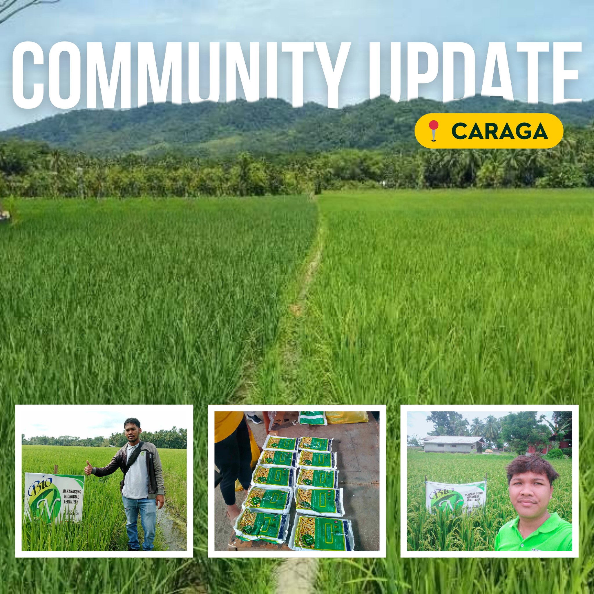 Bio - Thriving Fields in Caraga! Thanks to Bio N, farmers are seeing ...