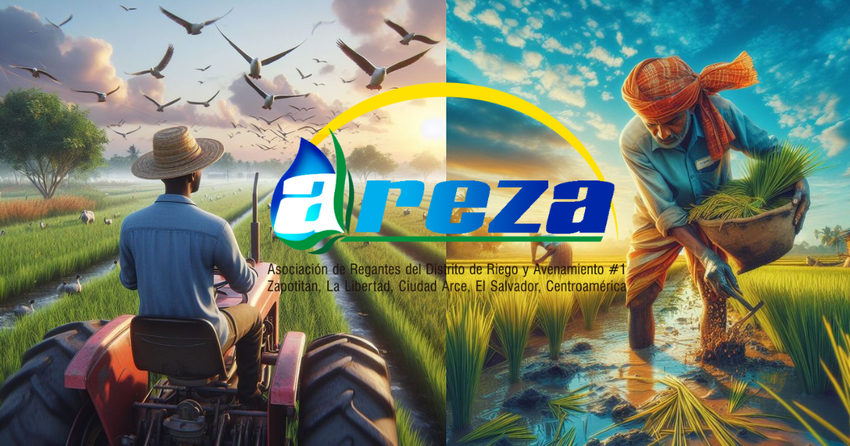 AREZA