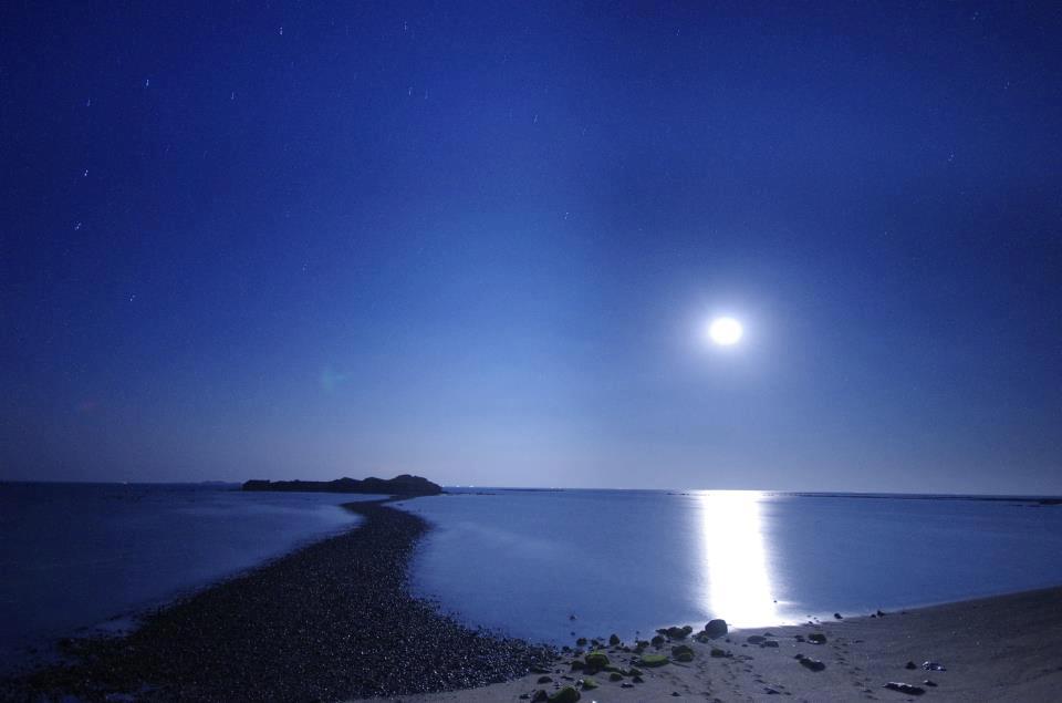 泰吉旅遊 TOUCH TOUR - 夜安