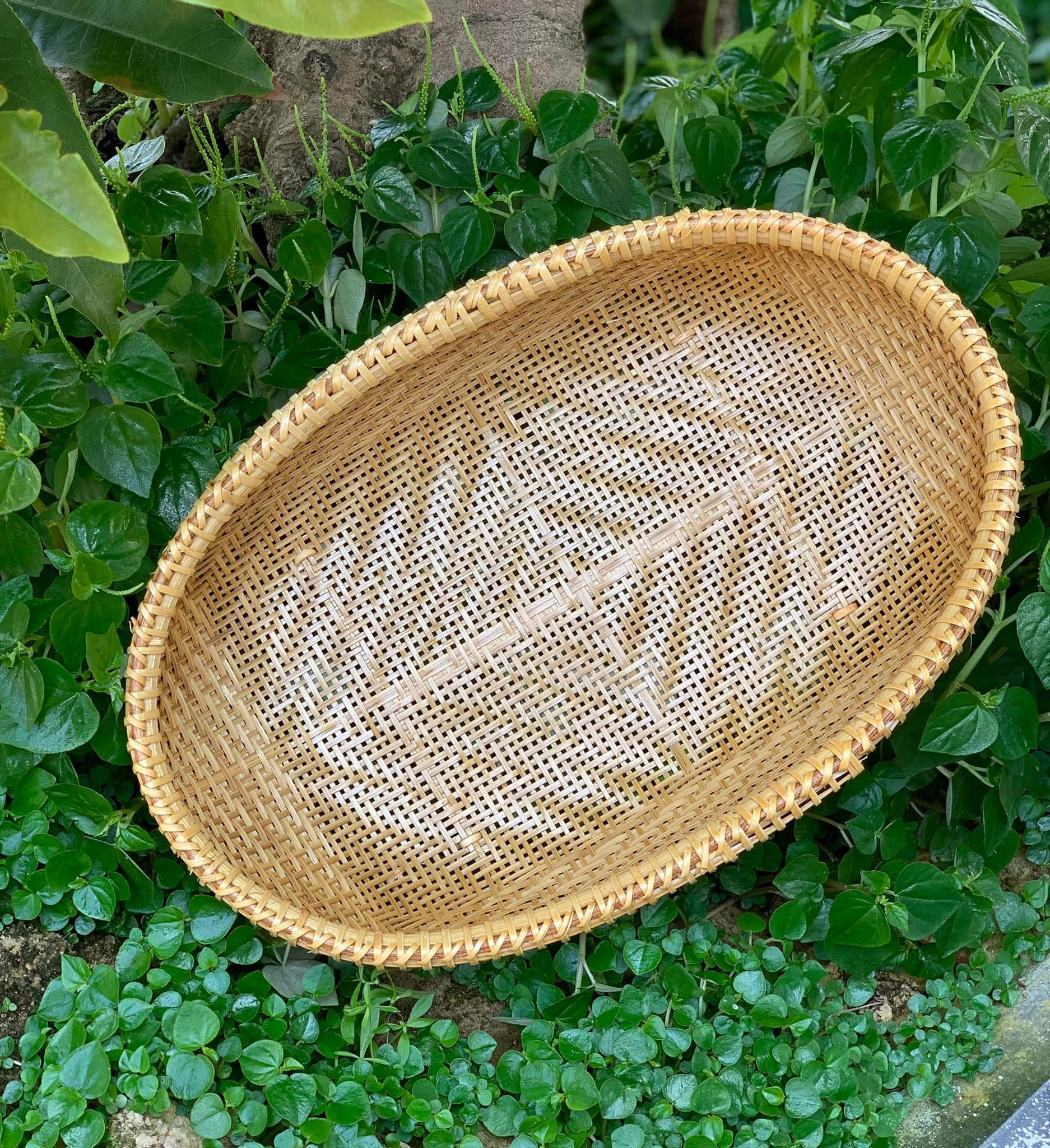 Gia dụng sạch rỗ rá nia và đồ mỹ nghệ = mây tre