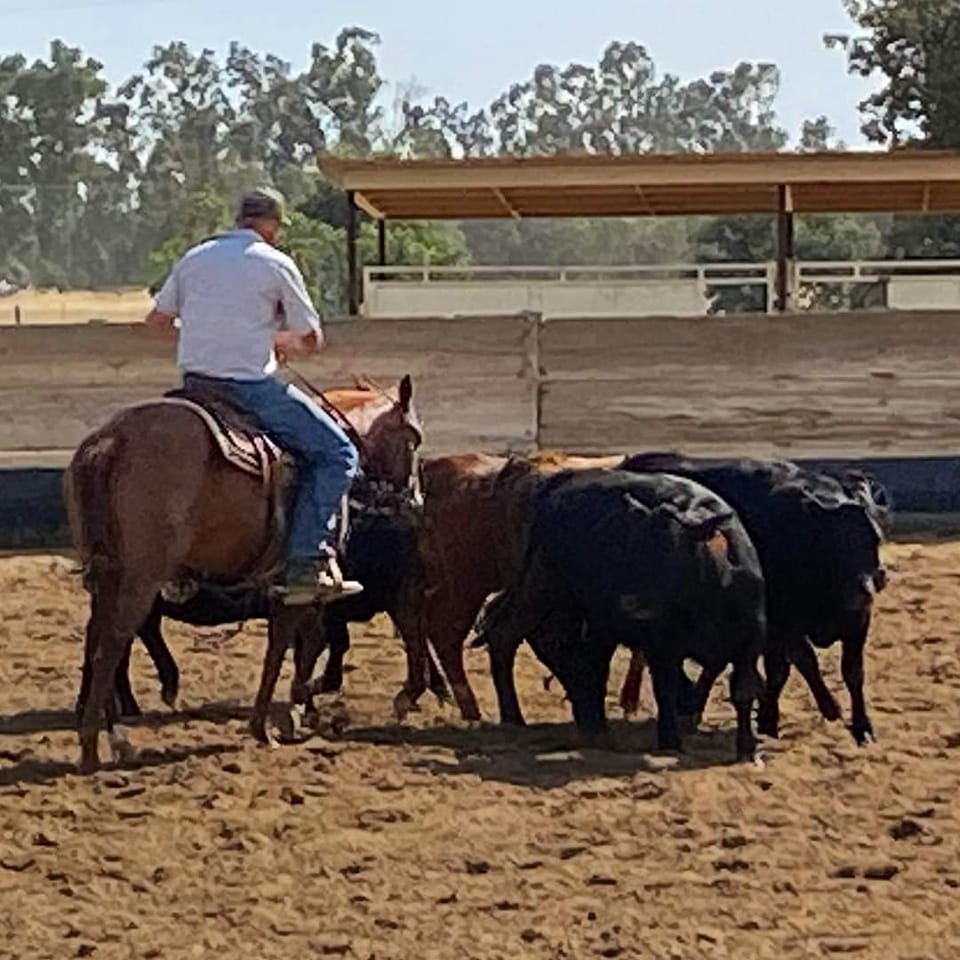 Our baby Athena is doing grown-up... - FU Bar None Ranch. | Facebook