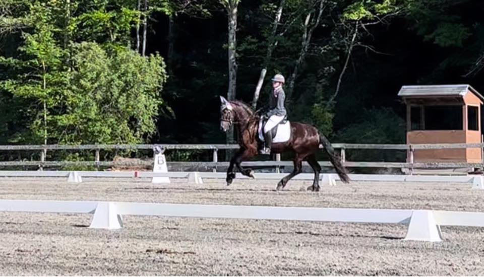 Middlebrook Farm added a new photo. - Middlebrook Farm