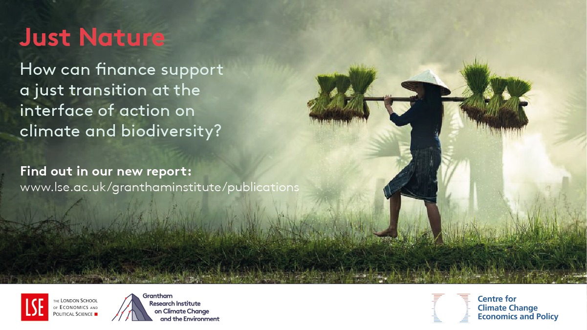 Grantham Research Institute on Climate Change and the Environment | London