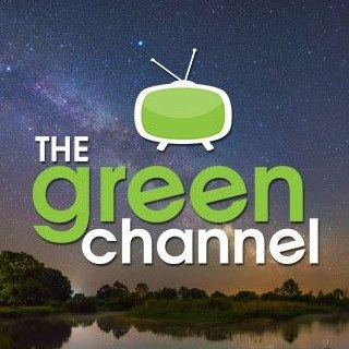 A fin, a breath, and it's gone. Most... - The Green Channel | Facebook