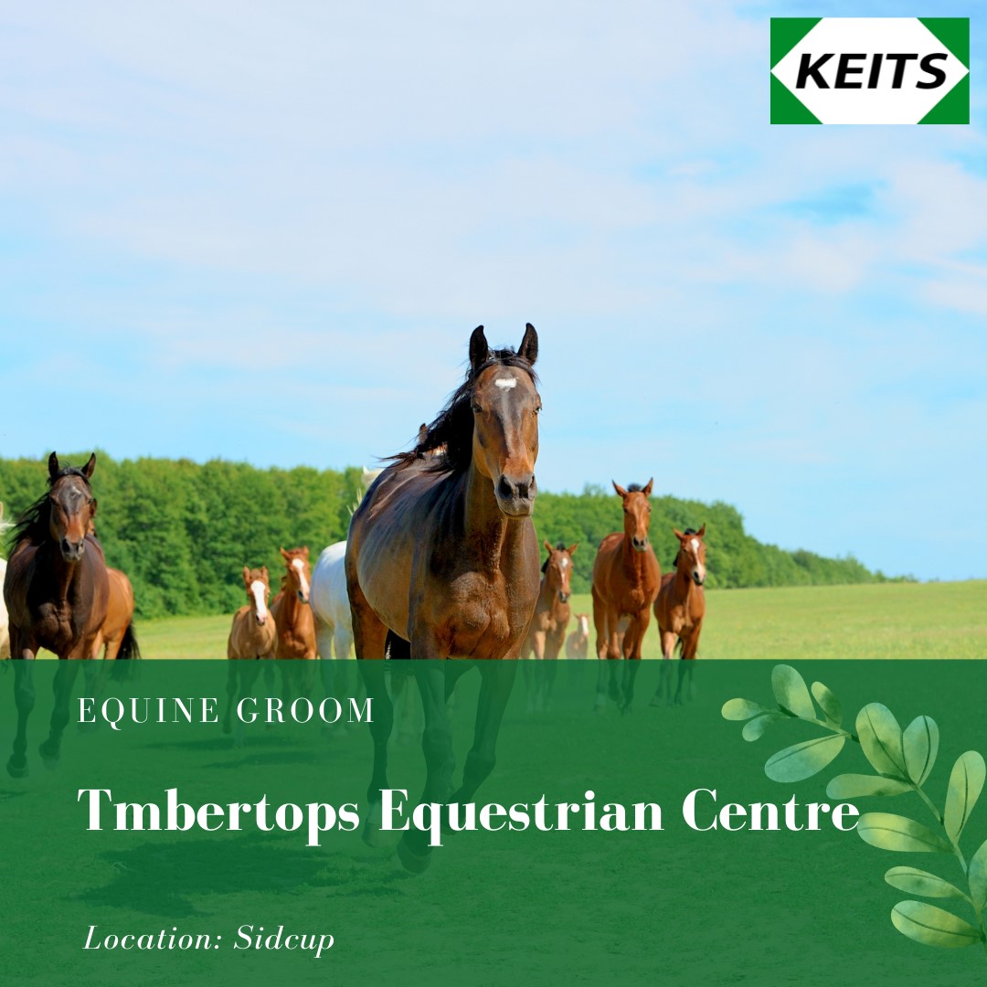 New Equine Groom Vacancy at... - KEITS Training Services