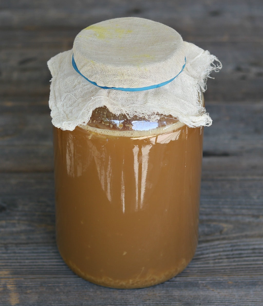 Grow Forage Cook Ferment - Make this delicious naturally fermented ...