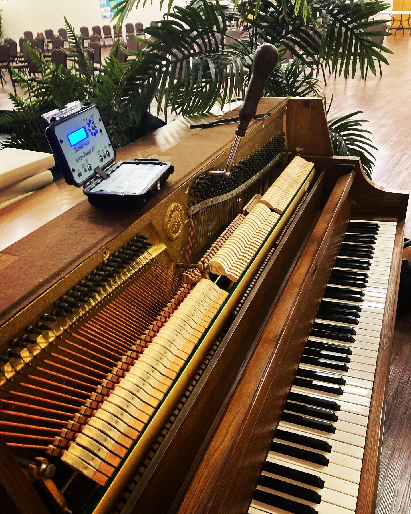 Yamaha P202 #yamaha #yamahapiano... - A 440 Piano Service | Facebook