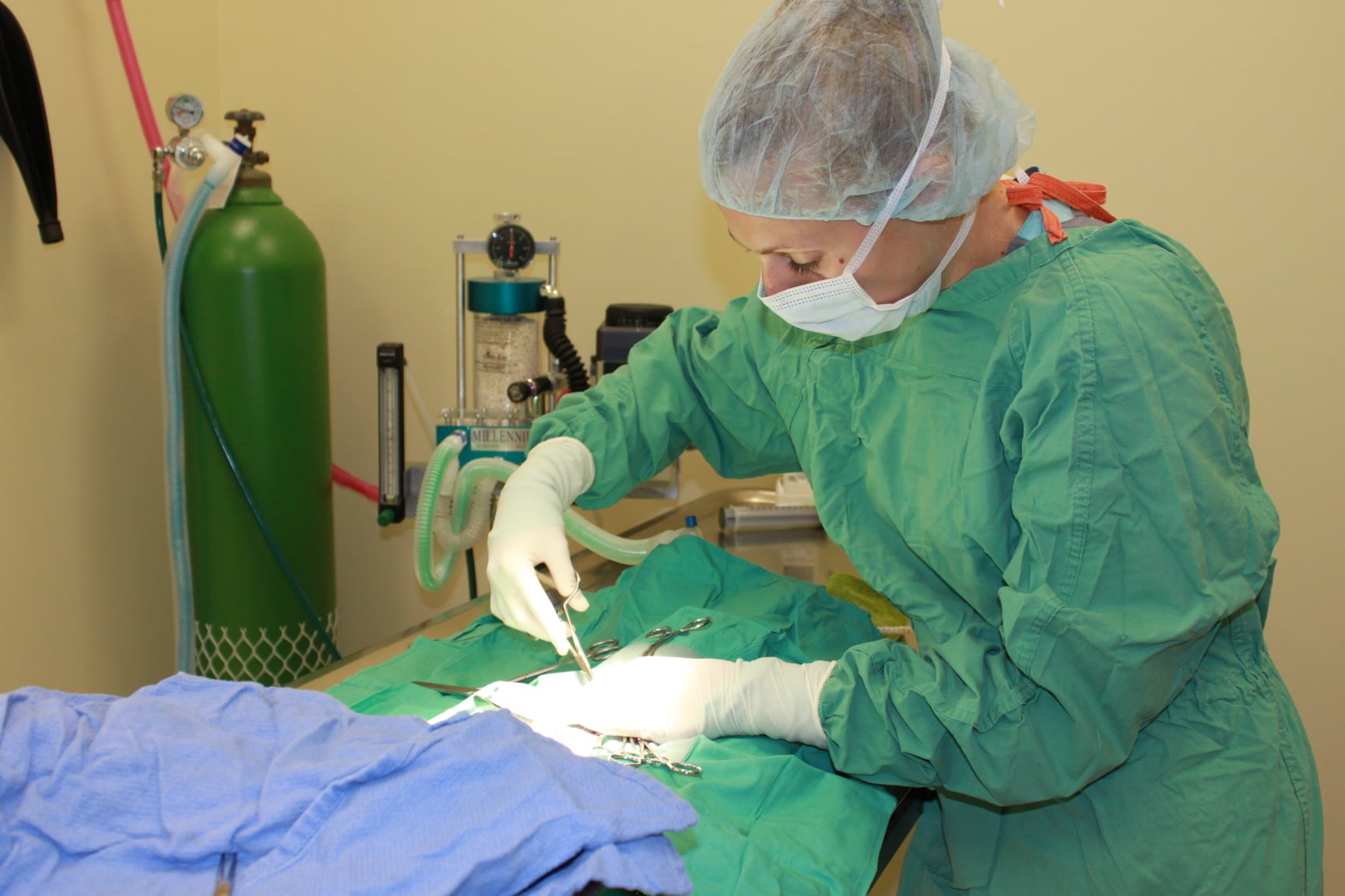 Redinger Spay/Neuter Clinic | Daytona Beach FL