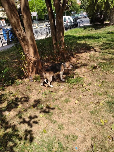 Fazoo.gr | Athens
