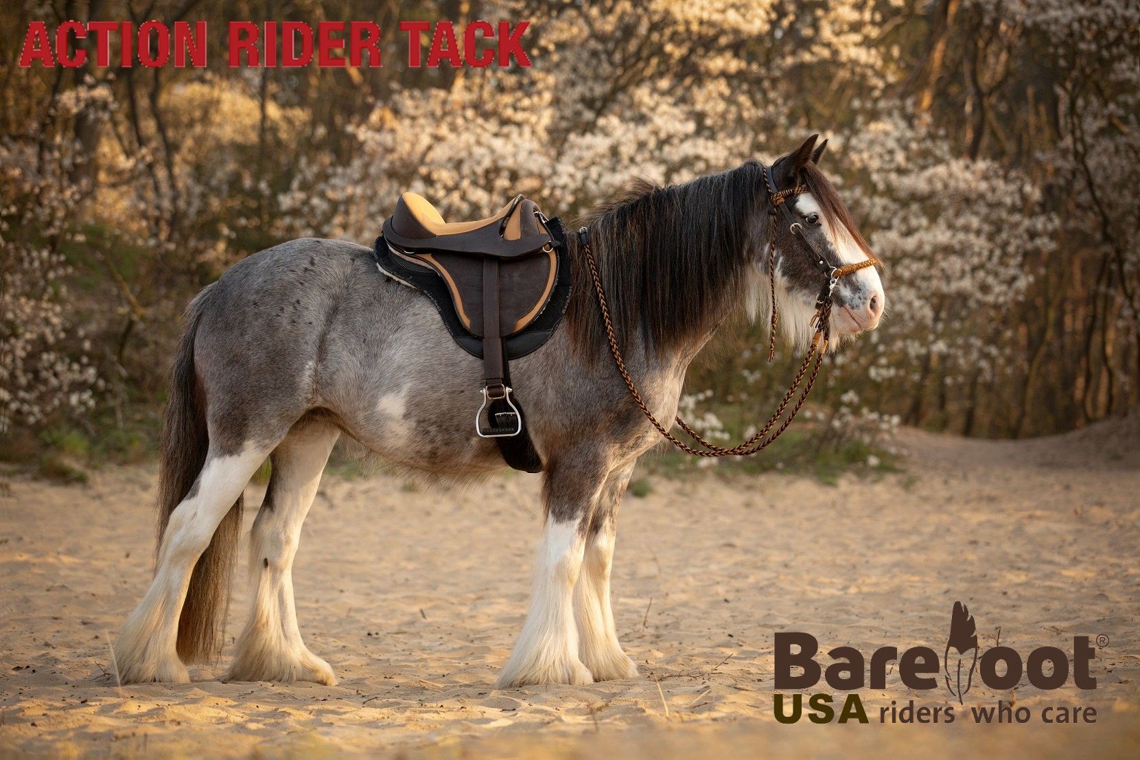 The limited special edition 'Cheyenne... - Action Rider Tack