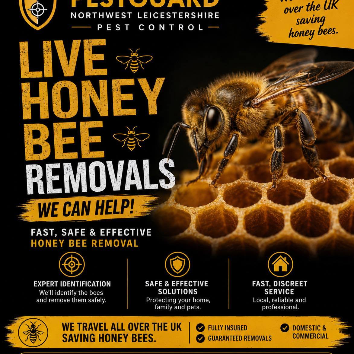 Bed bugs facts and evidence UK | Is this a bed bug | Facebook