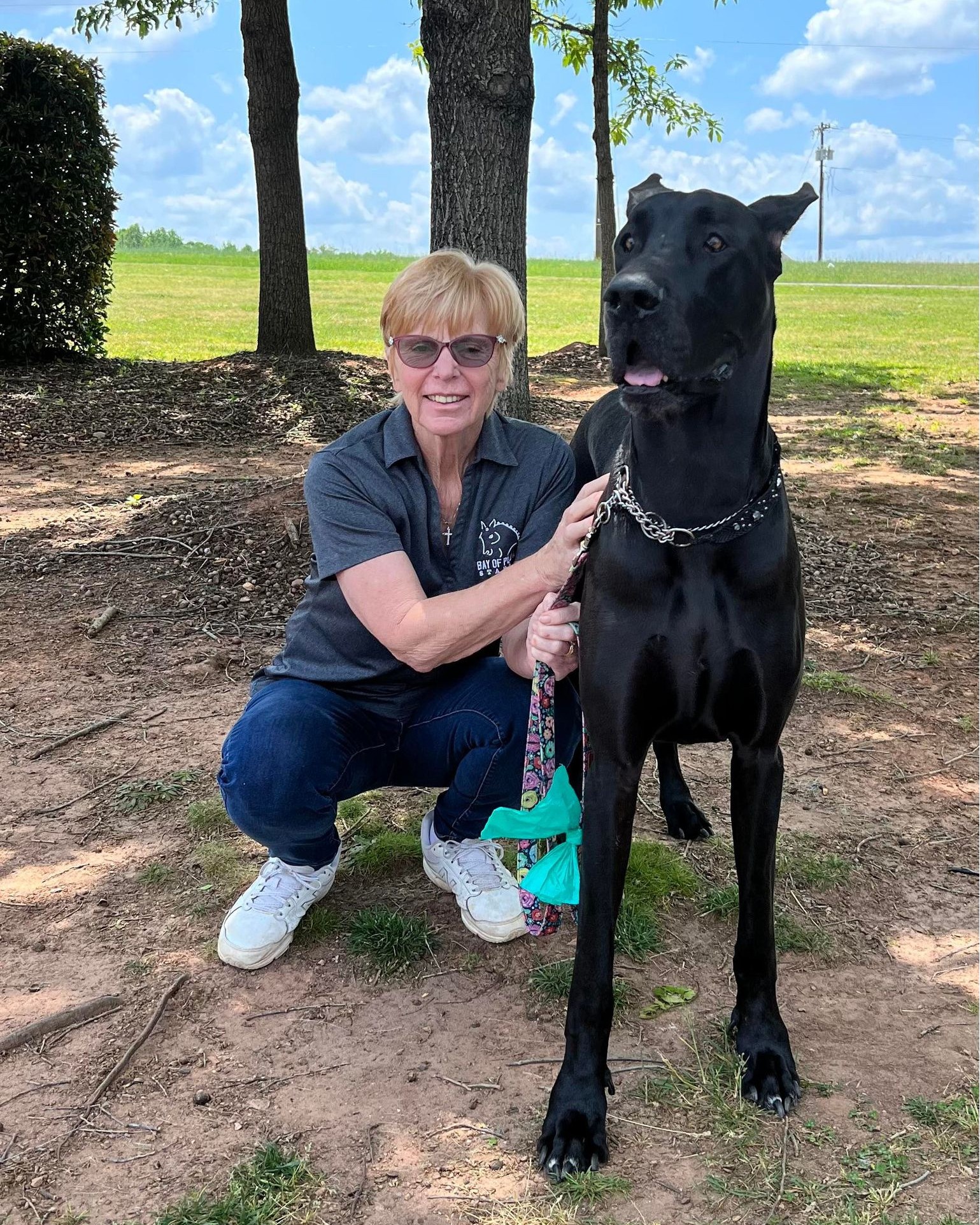 Our sweet girl Reign was... - Great Dane Friends of Ruff Love